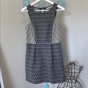 loft dress